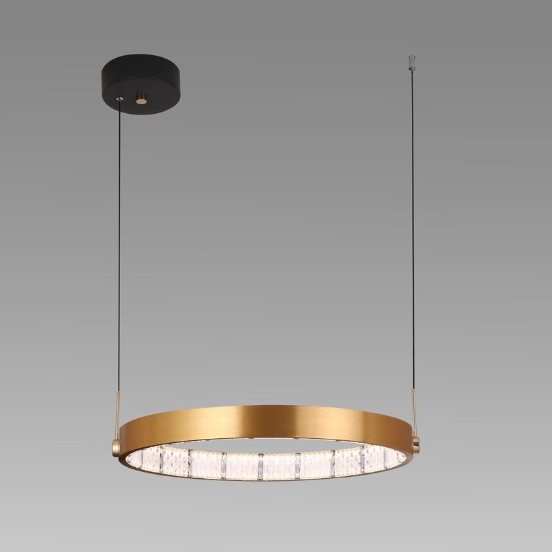 Ring  Acrylic  LED Pendant Lamp product show 2